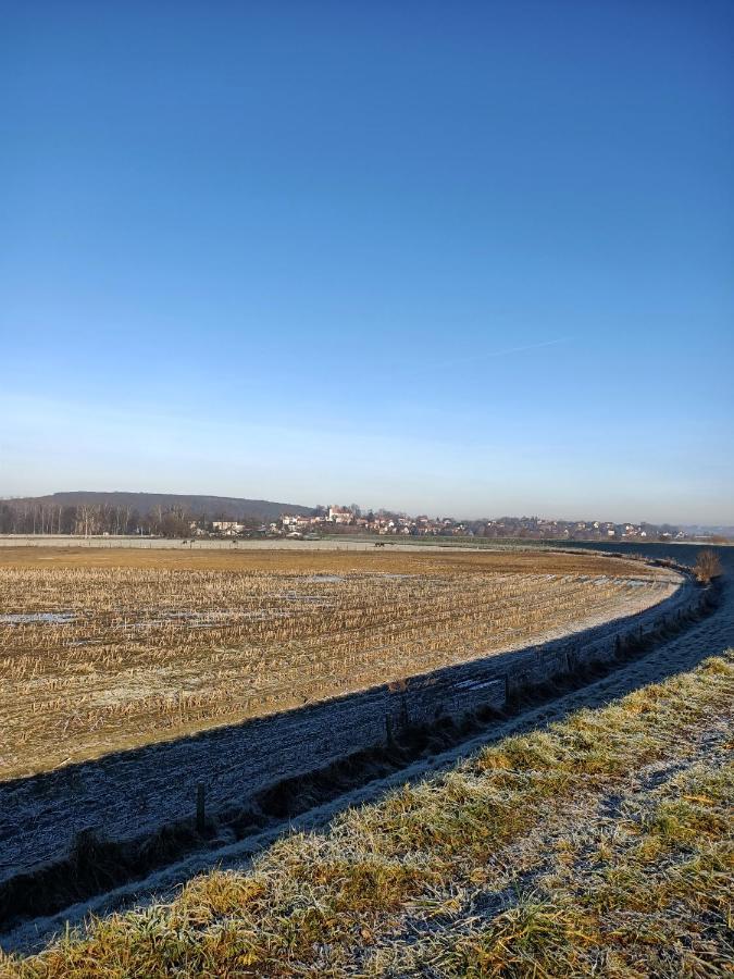 Apartament U Agaty Czernichow Krakow Zator Exteriör bild