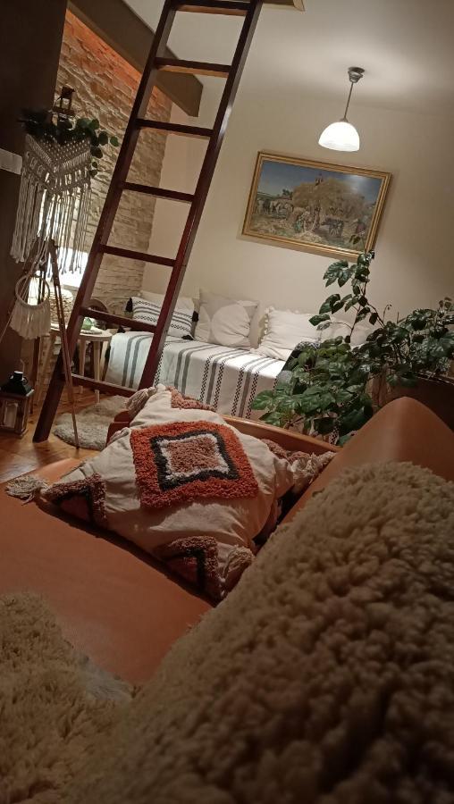 Apartament U Agaty Czernichow Krakow Zator Exteriör bild