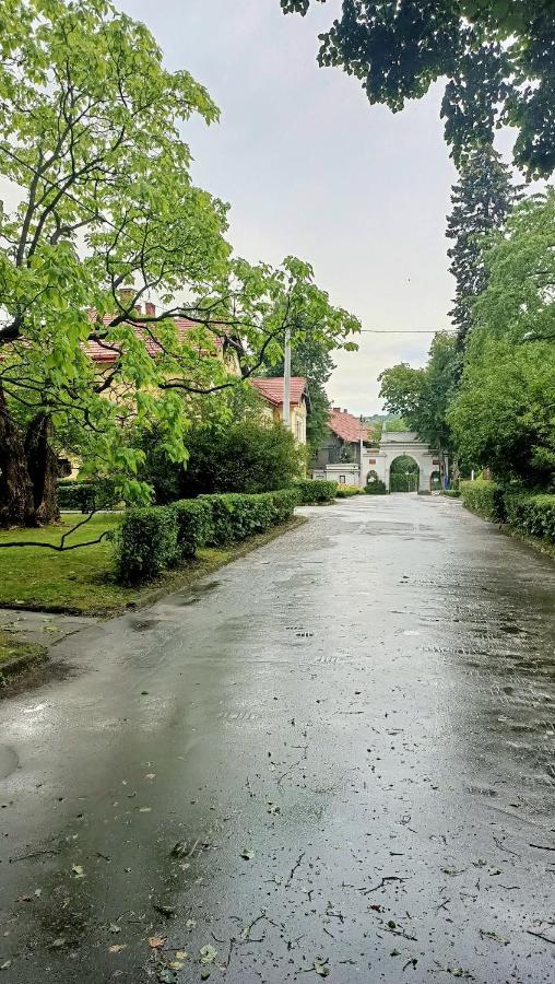 Apartament U Agaty Czernichow Krakow Zator Exteriör bild