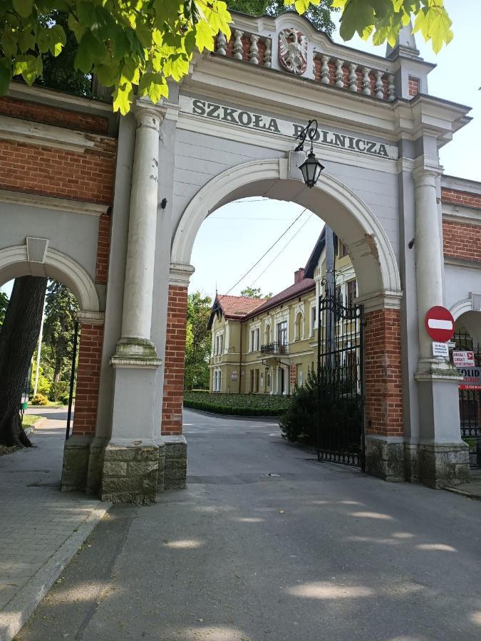Apartament U Agaty Czernichow Krakow Zator Exteriör bild