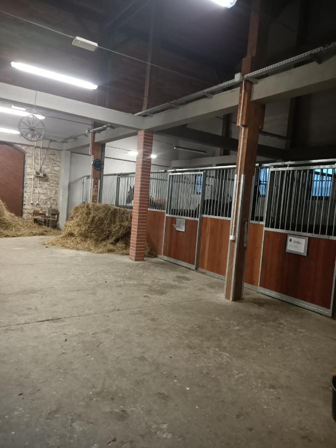 Apartament U Agaty Czernichow Krakow Zator Exteriör bild